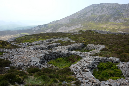 Tre’r Ceiri Iron Age Hillfort on the Llyn Peninsula of North Wales. I spent a fantastic sunny aftern