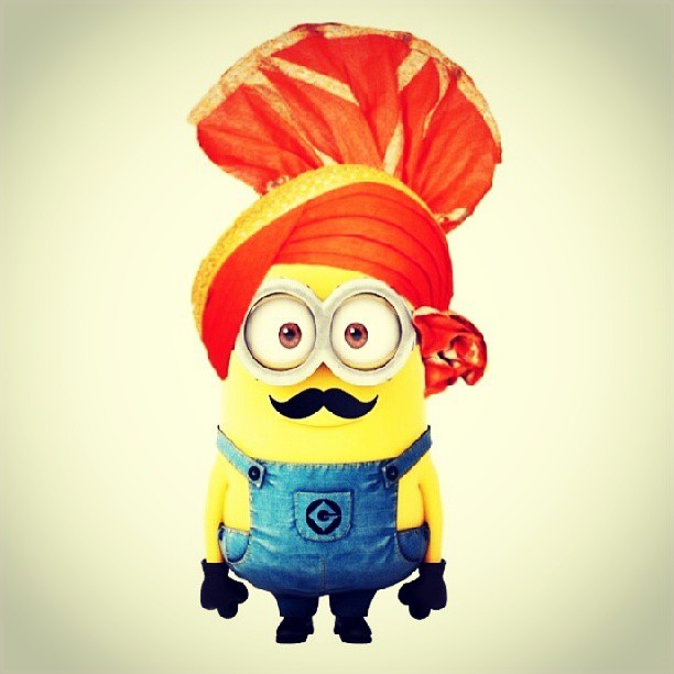 Mr. Miniondeep Singh 👳