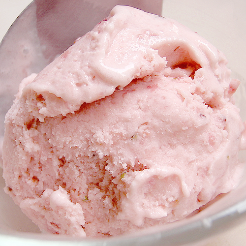 bunnellia:Fresh Strawberry Ice Cream Recipe by Joy