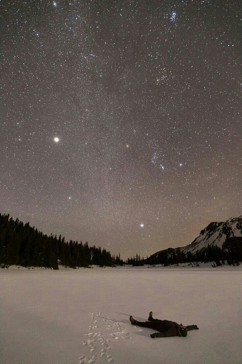 Gravitational Beauty