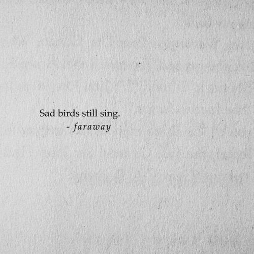 quotes:Sad birds still sing.