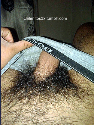 Porn photo chilenitos3x:  Felipe, 20aÃ±os. Milico