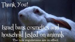 empatheticvegan:  animalcruelty-notok:  FINALLY: ISRAEL BANS ALL COSMETIC AND HOUSEHOLD CLEANING PRODUCTS TESTED ON ANIMALS “Israel has set into motion a ban on all cosmetics and household cleaning products manufactured by companies that utilize animal