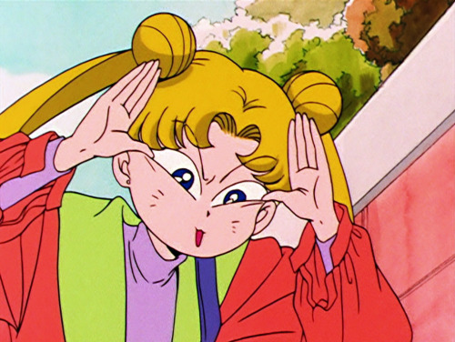 prettyguardianscreencaps:Sailor Moon Episode 31  &quot;Love and Chased: Luna’s Worst 