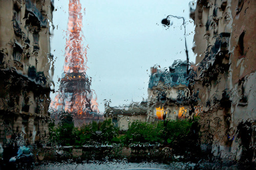 aquaticwonder:  Paris in the rain | Christophe porn pictures