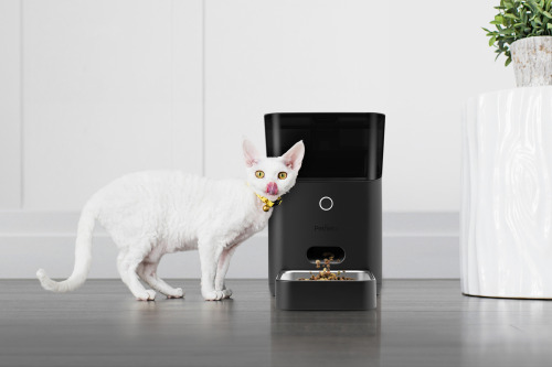 Wifi smart pet feeder – BUY HERE