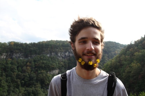 ok Zoe let’s run away and I’ll grow a beard so you can put flowers in my beard yessss