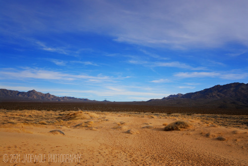 Kelso DunesMojave National Preserve, California