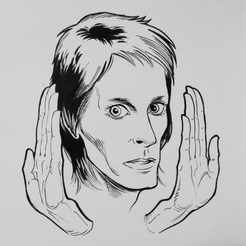 All of my David Bowie drawings, from 2012 to the present