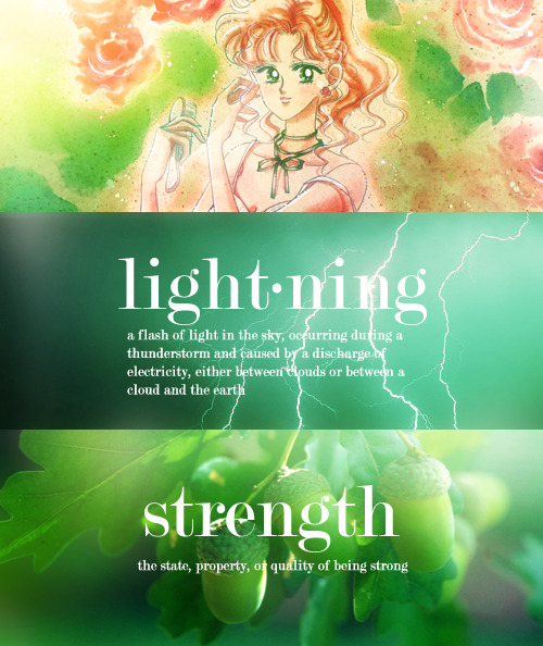 wateredmist:  Complete Sailor Moon Dictionary Series 