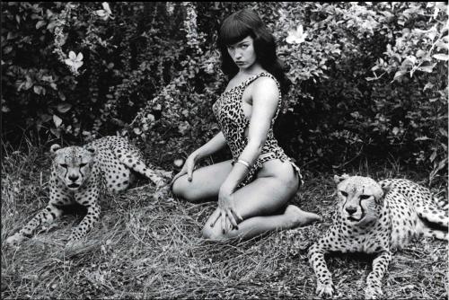 Bettie Page plays with her kitties All VintageBooty adult photos