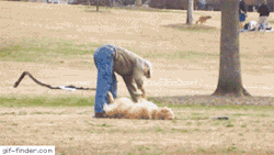 amaroktchono:  giffindersite:  Via http://Gif-Finder.com  Nope me stay in park 