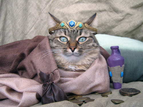 isugi:Khajiit has wares, if you have coin!Our cat Khinjarsi as a Khajiit trader from The Elder Scrol