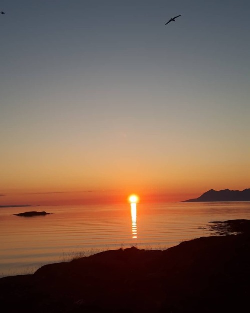 #nofilter #sunset #nrksommer #troms #rolla #landschaftsfotografie #livetpålandet #landliglykke