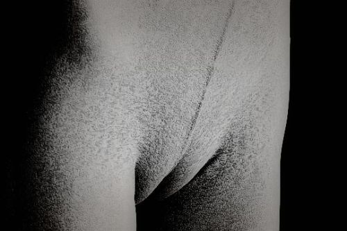 msjanssenblackandwhite:  text/ure 