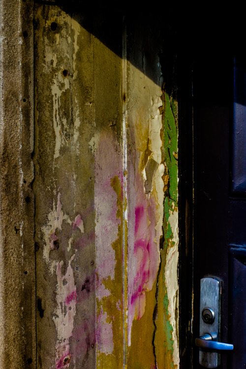 bluelunaphotography:  pretty in pink
