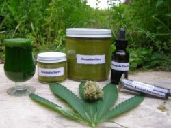 allthateverwasorwillbe:  Hemp Uses and Cures