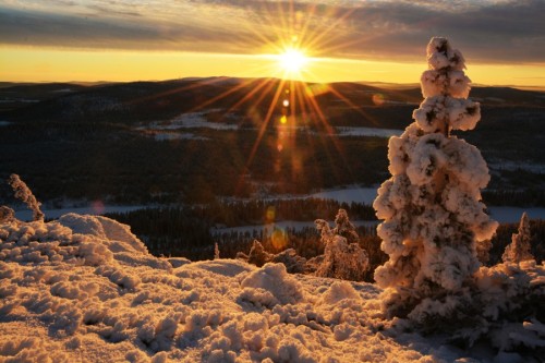 morethanphotography:  Lapland Dream I by gnbphotos