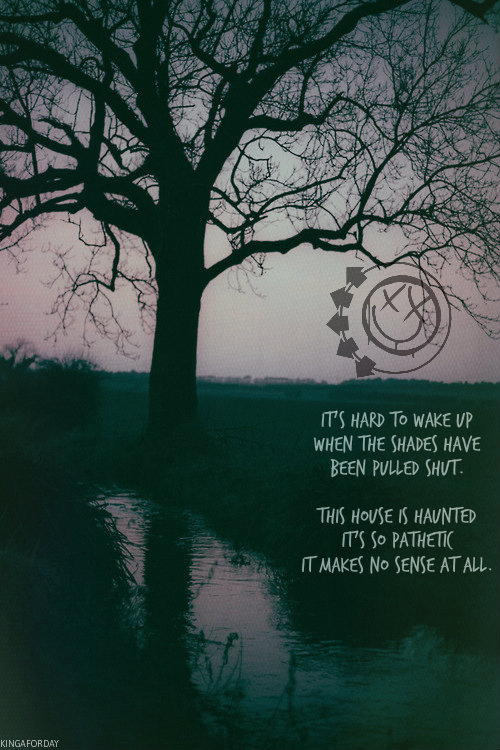 kingaforday:  Blink-182 - Stay Together For the Kids 