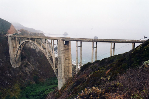 intoconsistency:Some film from the summer. I wish I could go back and live through it again.—> Fl