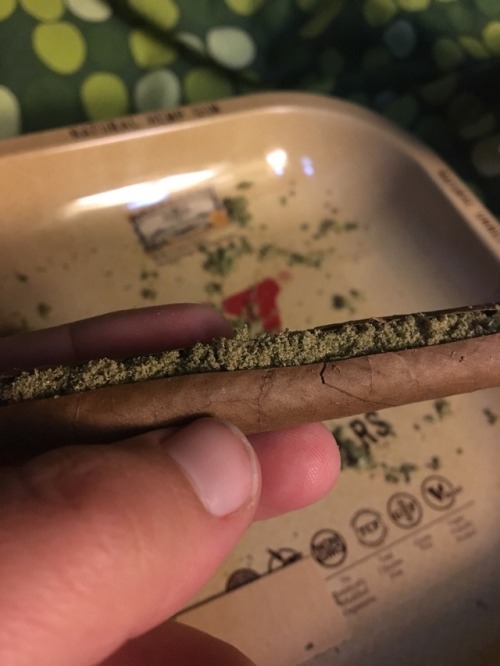 Kief blunt