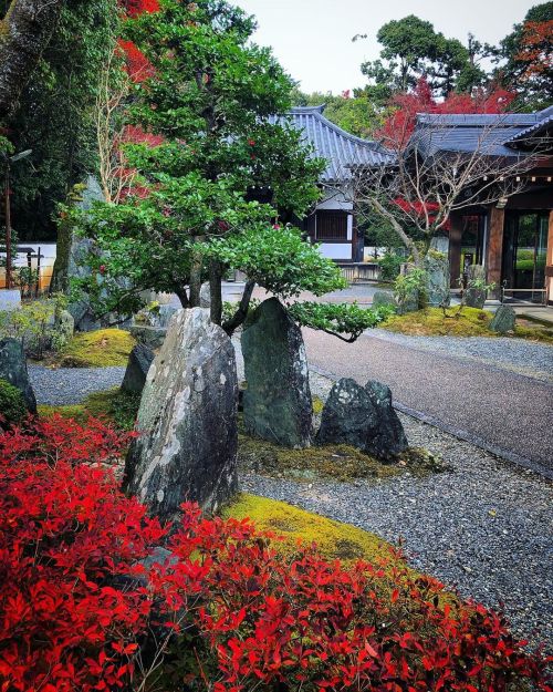 泉涌寺 楊貴妃観音堂庭園 [ 京都市東山区 ] ② Sennyuji Temple Yokihi-Kannondo Garden, Kyoto ーー皇室ゆかりの“御寺”のもう一