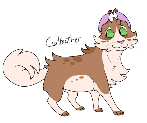 #curlfeather#warrior cats#warriors#wc#riverclan#avos#tbc #every cat challenge tag