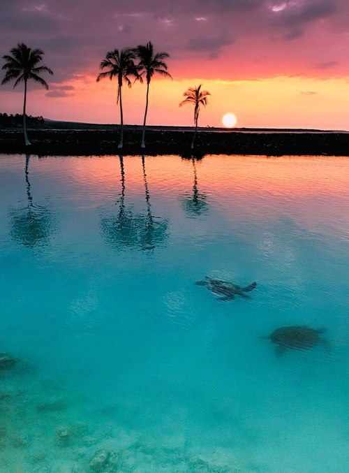 streamy-dream:  ♥ | via Facebook on We Heart It - http://weheartit.com/entry/163040273
