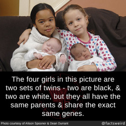mindblowingfactz:  The four girls in this