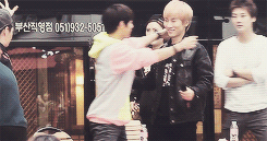 juresse:  a very adorable btob; 