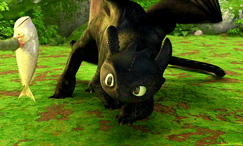 lumos5001:owlygem:toothless the giant black kittenthe unholy offspring of lightning and death