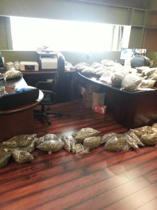 thatsgoodweed:  Just a day at the office 