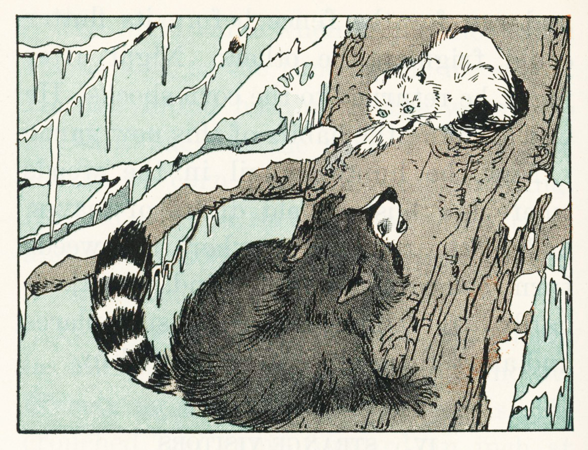 uwmspeccoll: An Adventurous (and perhaps dangerous) Caturday It’s “The Adventures