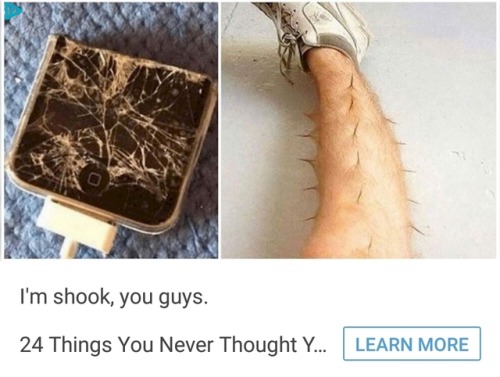 a-fragile-sort-of-anarchy:Tumblr’s ads are revealing dark and powerful fashion secrets to me.