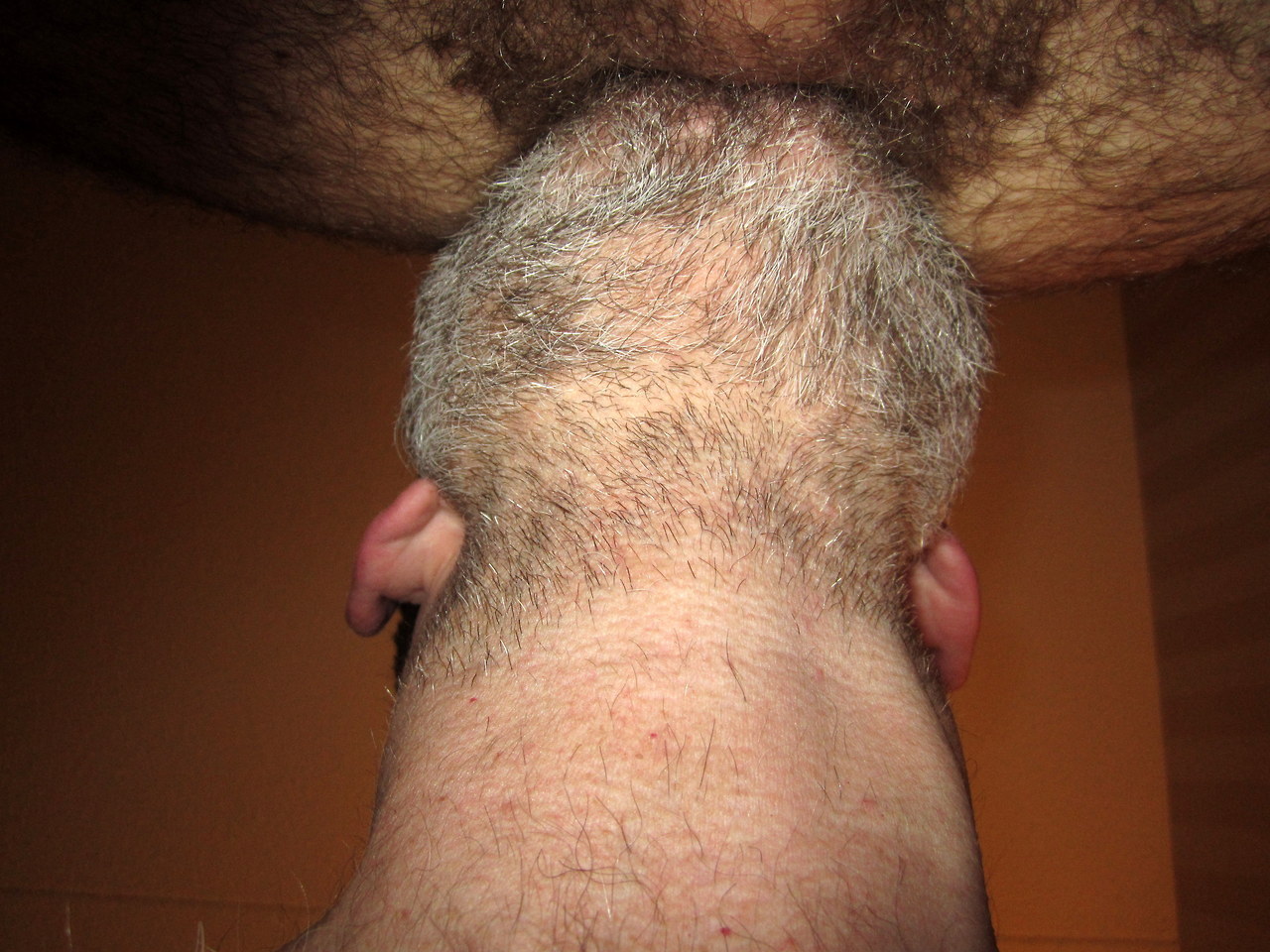 scofflawscallawag2:  Awesome pic.  Damn, I miss rimmimg furry asses