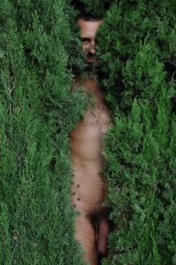 nakedmoonspirit:  Hide-and-seek