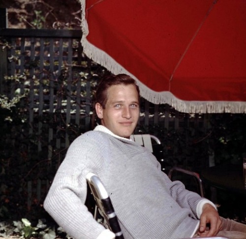 Sex pierppasolini:  Paul Newman photographed pictures