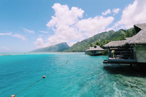 cherry-kiddo: summersenstations: Paradise Moorea, Tahiti