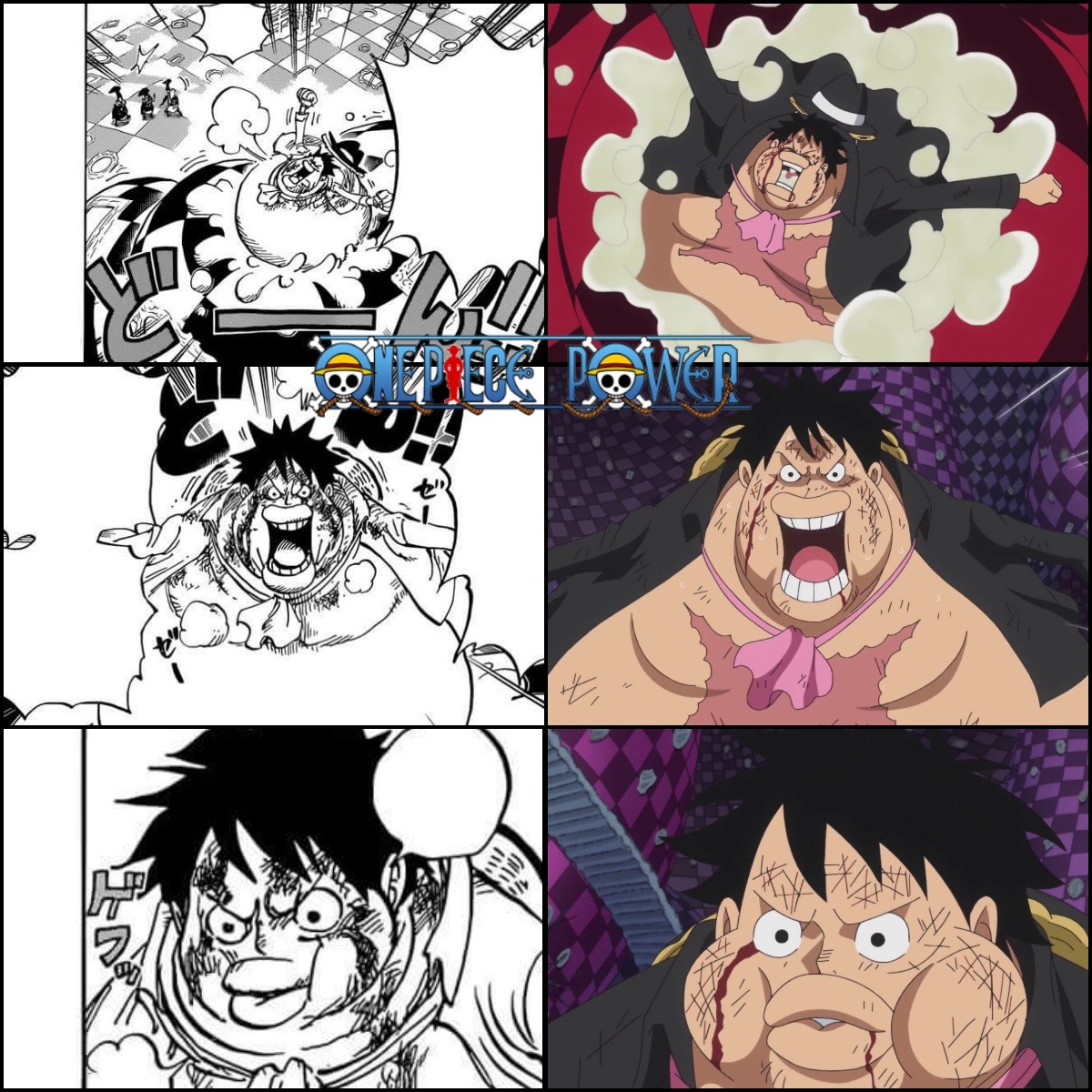 Episode 856 Vs Chapter 8