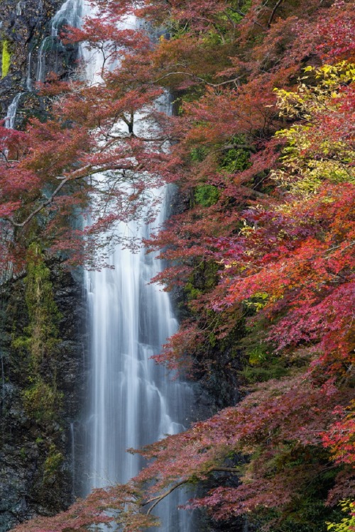 sublim-ature: Minoh Falls, JapanChaluntorn Preeyasombat