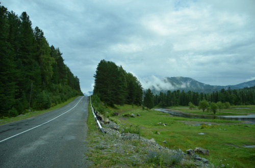 inthecornerofthesky: Altai. Altai republic. Biya river. 