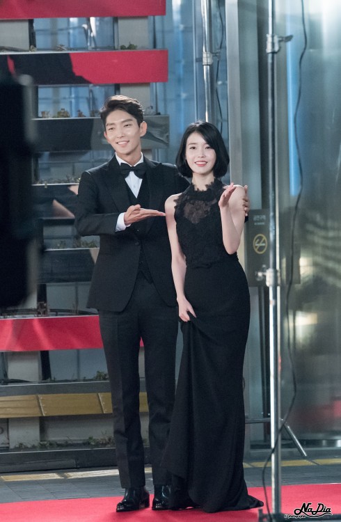 iumushimushi: 161231 IU &amp; Lee Joon Gi @ 2016 SAF Drama Awards Red Carpet by Nadia