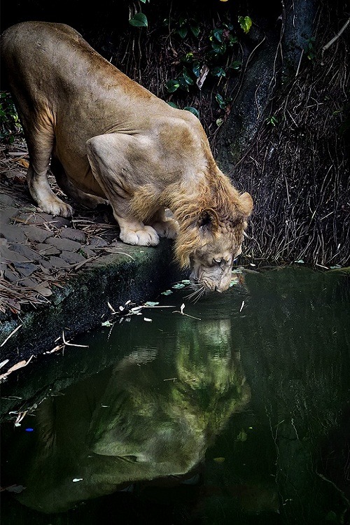 ponderation:  Thirsty by Prabu dennaga 