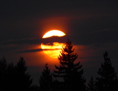 storyoftheviper:  Full Moons 2015
