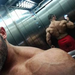 muscular guys, bodybuilders and my states