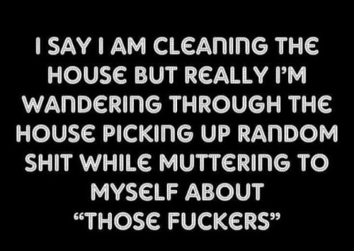fatboyracer:  perfectionisterriable:  🤣😂🤣  Daily 