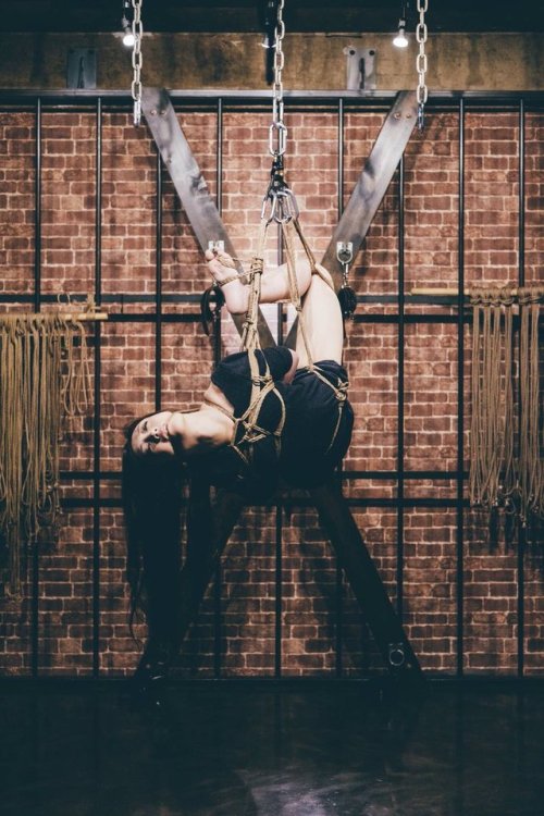 thevertigonetwork:Kinbaku Ren YagamiModel Hana Kano