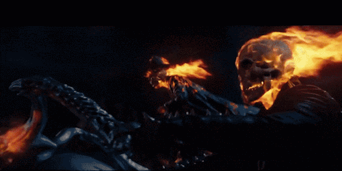 chilewithcarnage:chilewithcarnage:ghost rider what you did to that iguana was fucked up dudeway to go jackass