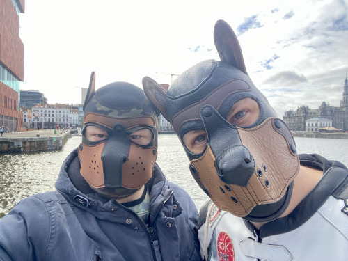 Darklands Day 2 - Part 1 (Puppy Walk)