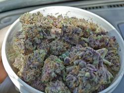 Dank Purps